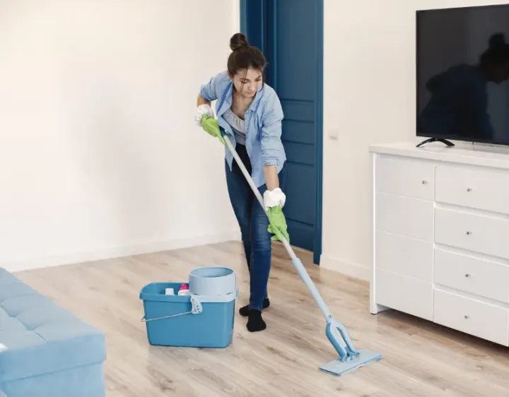 Femme de ménage Carantec